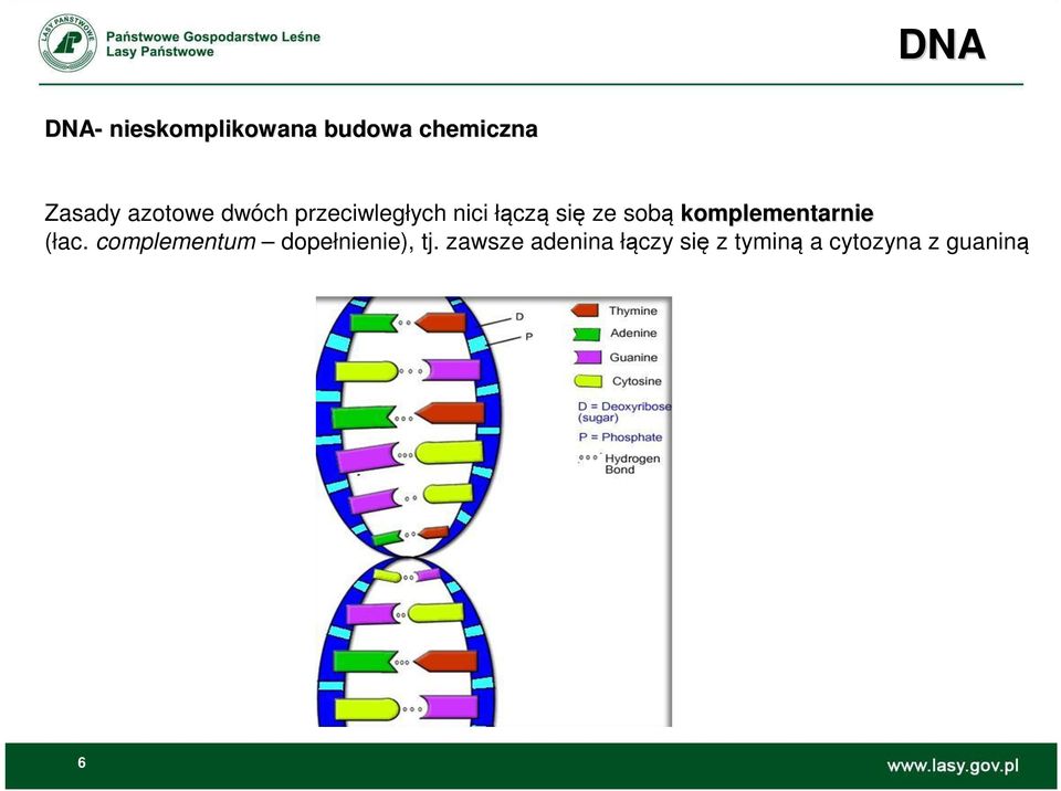 komplementarnie (łac. complementum dopełnienie), tj.