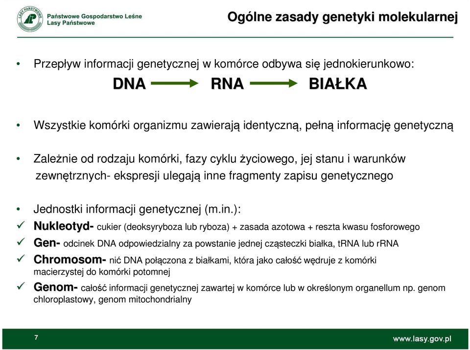 e fragmenty zapisu genetycznego Jednostki inf