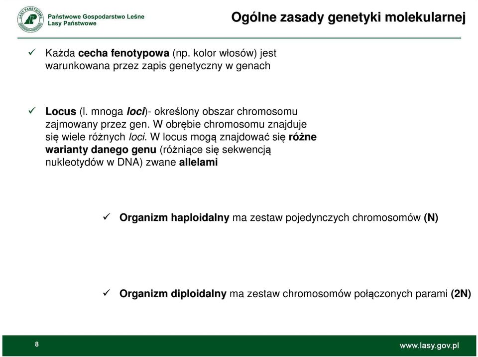 mnoga loci)- określony obszar chromosomu zajmowany przez gen. W obrębie chromosomu znajduje się wiele różnych loci.