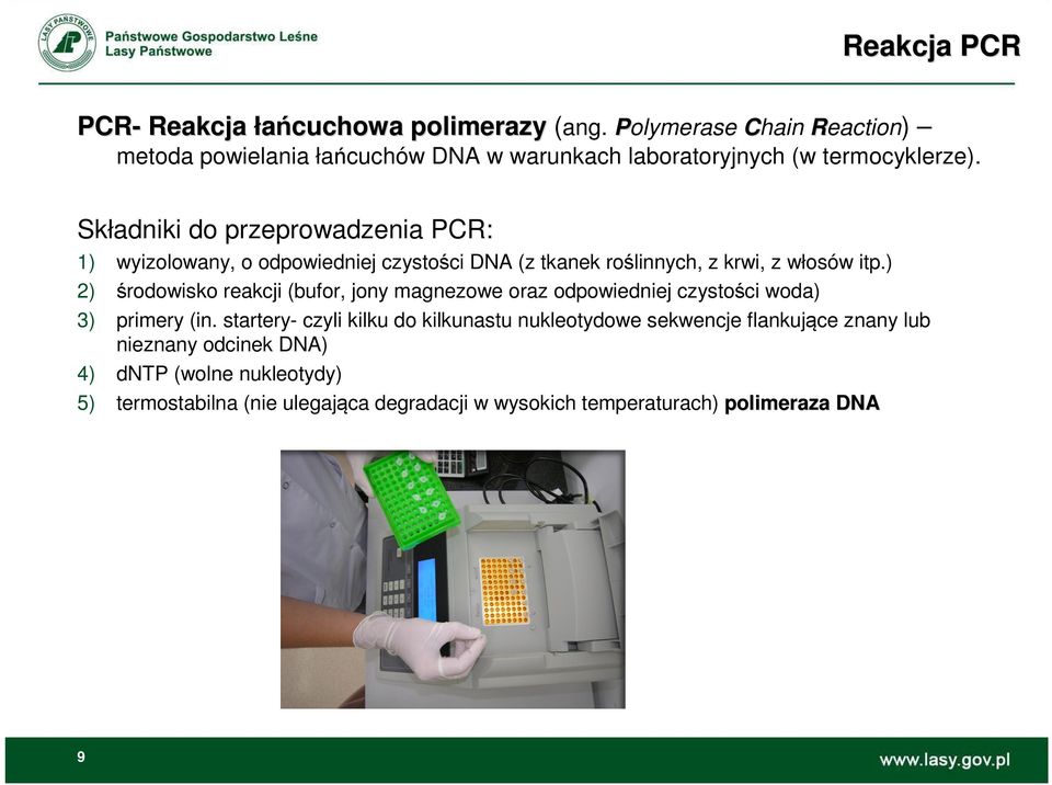 Składniki do przeprowadzenia PCR: 1) wyizolowany, o odpowiedniej czystości DNA (z tkanek roślinnych, z krwi, z włosów itp.