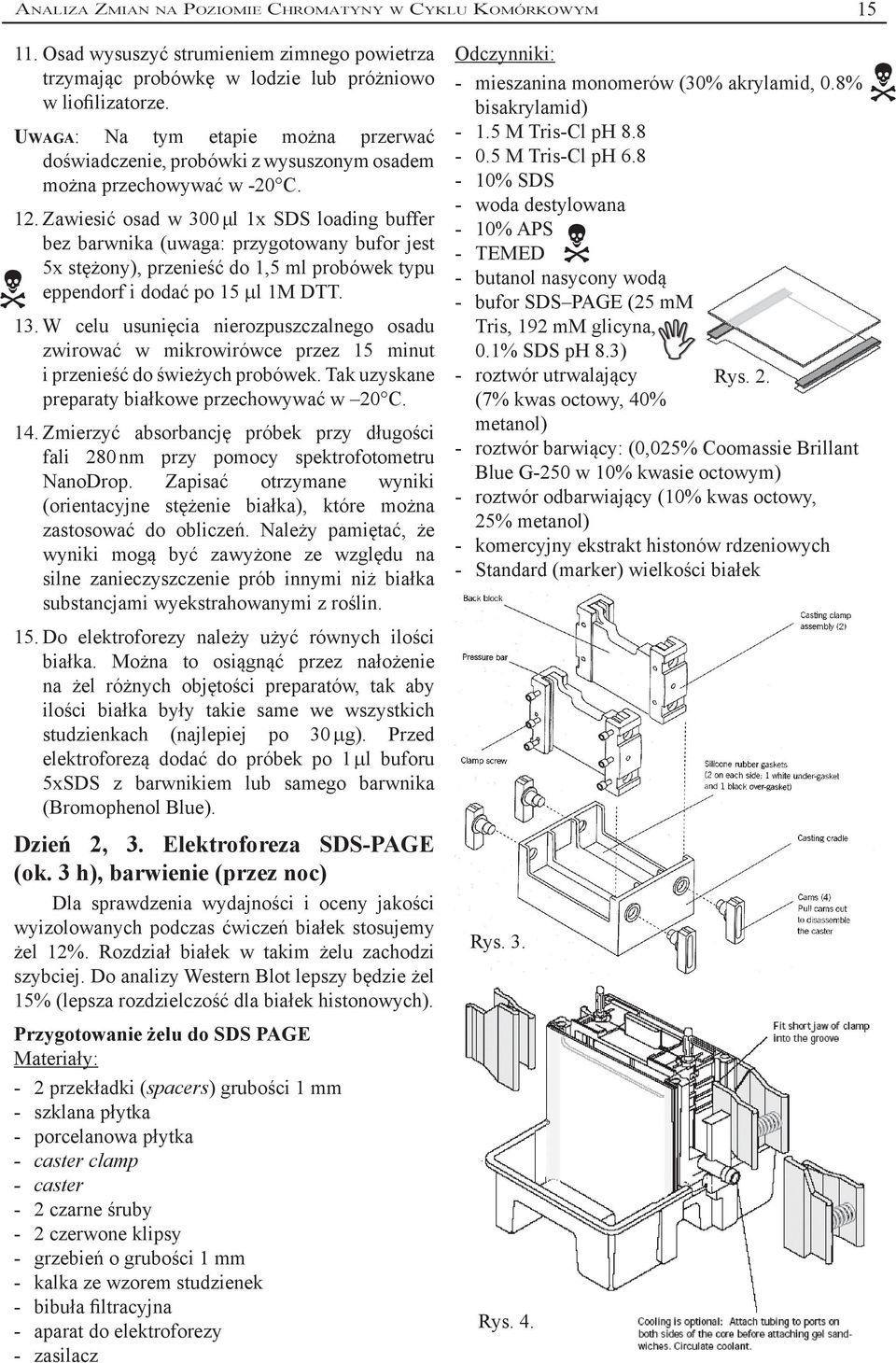 Zawiesić osad w 300 μl 1x SDS loading buffer bez barwnika (uwaga: przygotowany bufor jest 5x stężony), przenieść do 1,5 ml probówek typu eppendorf i dodać po 15 µl 1M DTT. 13.