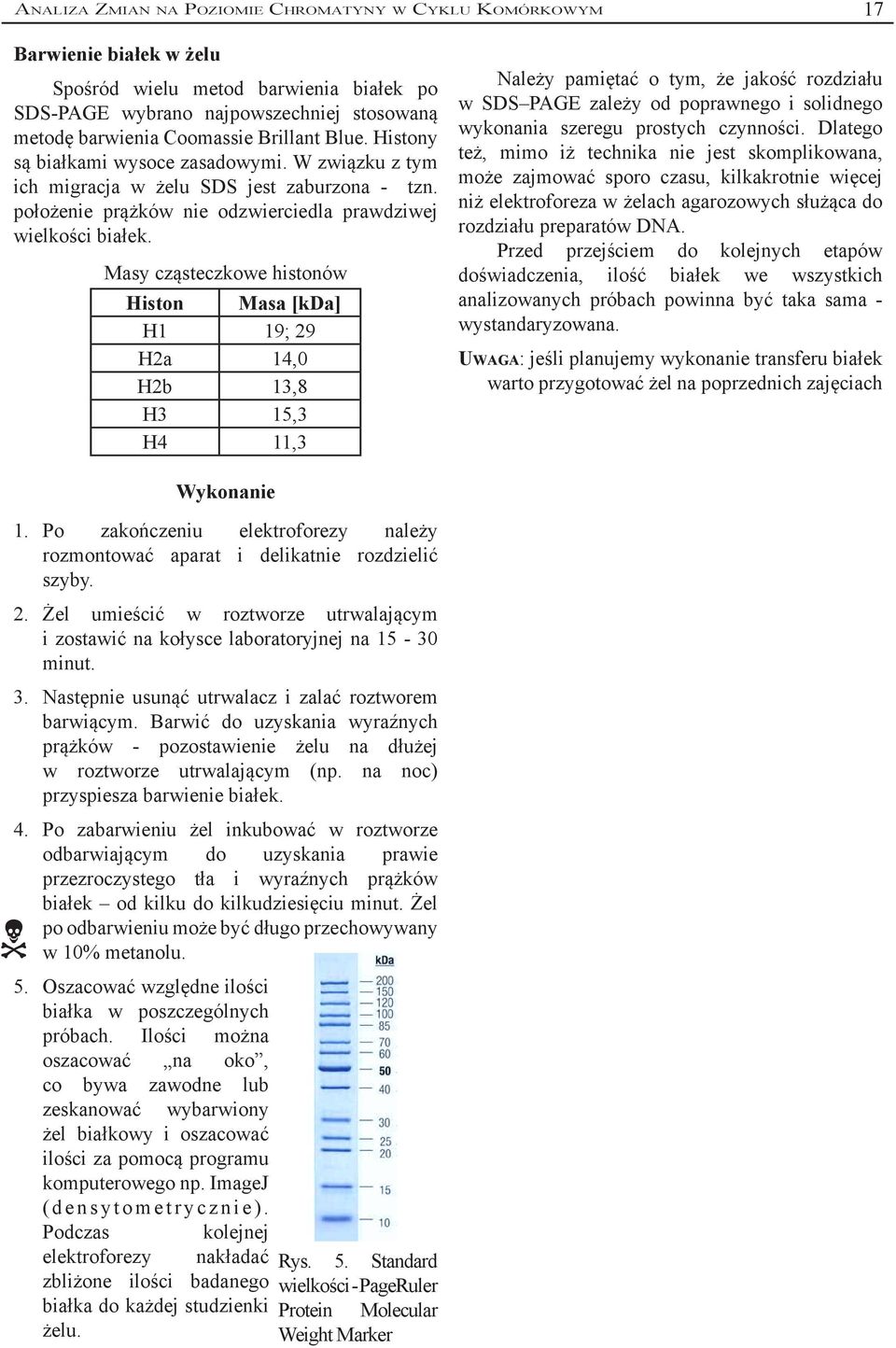 Masy cząsteczkowe histonów Histon Masa [kda] H1 19; 29 H2a 14,0 H2b 13,8 H3 15,3 H4 11,3 Należy pamiętać o tym, że jakość rozdziału w SDS PAGE zależy od poprawnego i solidnego wykonania szeregu