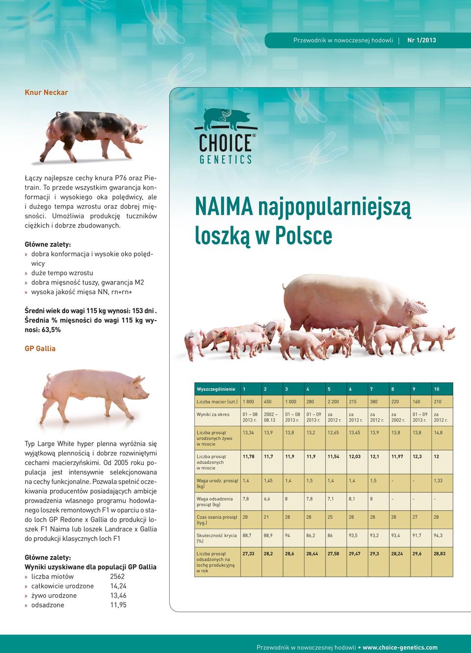 Główne zalety: dobra konformacja i wysokie oko polędwicy duże tempo wzrostu dobra mięsność tuszy, gwarancja M2 wysoka jakość mięsa NN, rn+rn+ NAIMA najpopularniejszą loszką w Polsce 17 Średni wiek do