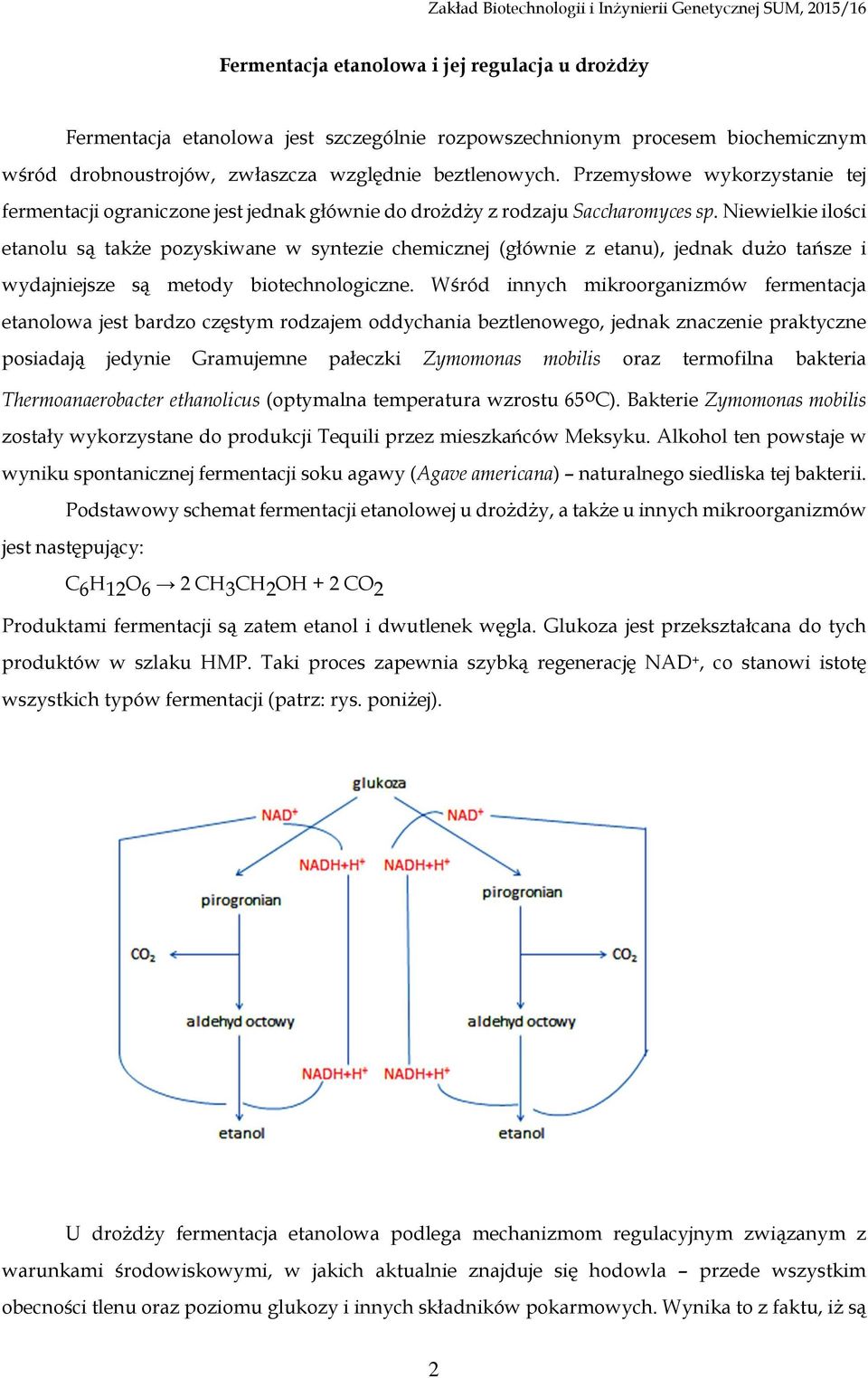 Niewielkie ilości etanolu są także pozyskiwane w syntezie chemicznej (głównie z etanu), jednak dużo tańsze i wydajniejsze są metody biotechnologiczne.