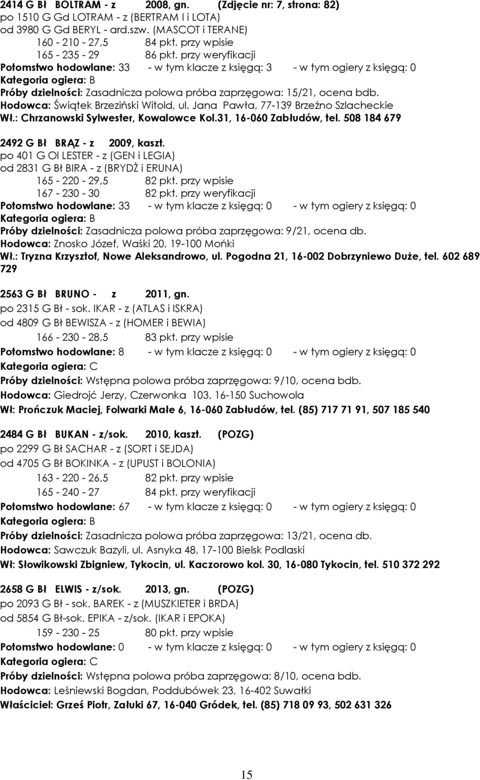 Hodowca: Świątek Brzeziński Witold, ul. Jana Pawła, 77-139 Brzeźno Szlacheckie Wł.: Chrzanowski Sylwester, Kowalowce Kol.31, 16-060 Zabłudów, tel. 508 184 679 2492 G Bł BRĄZ - z 2009, kaszt.