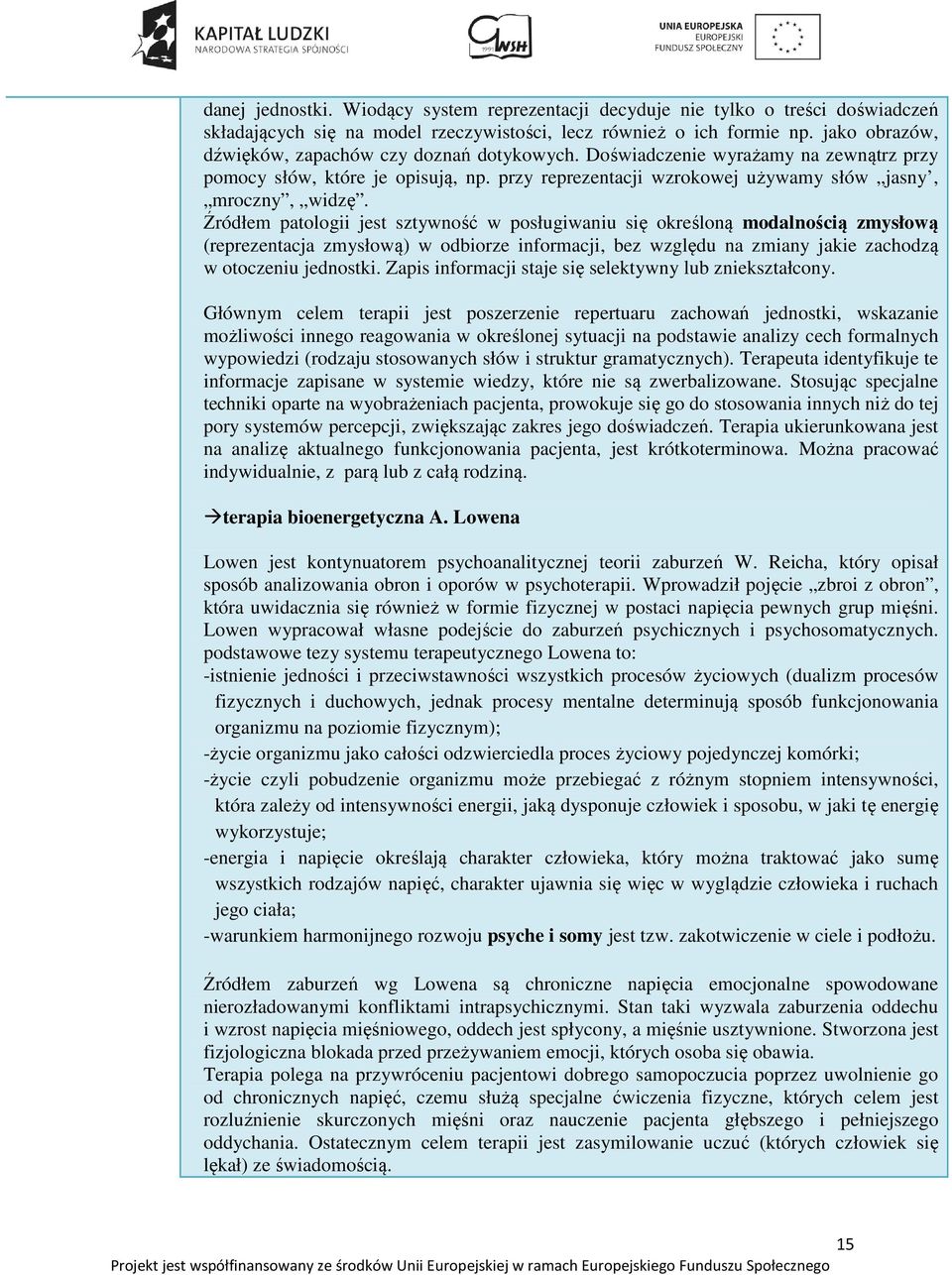 Źródłem patologii jest sztywność w posługiwaniu się określoną modalnością zmysłową (reprezentacja zmysłową) w odbiorze informacji, bez względu na zmiany jakie zachodzą w otoczeniu jednostki.