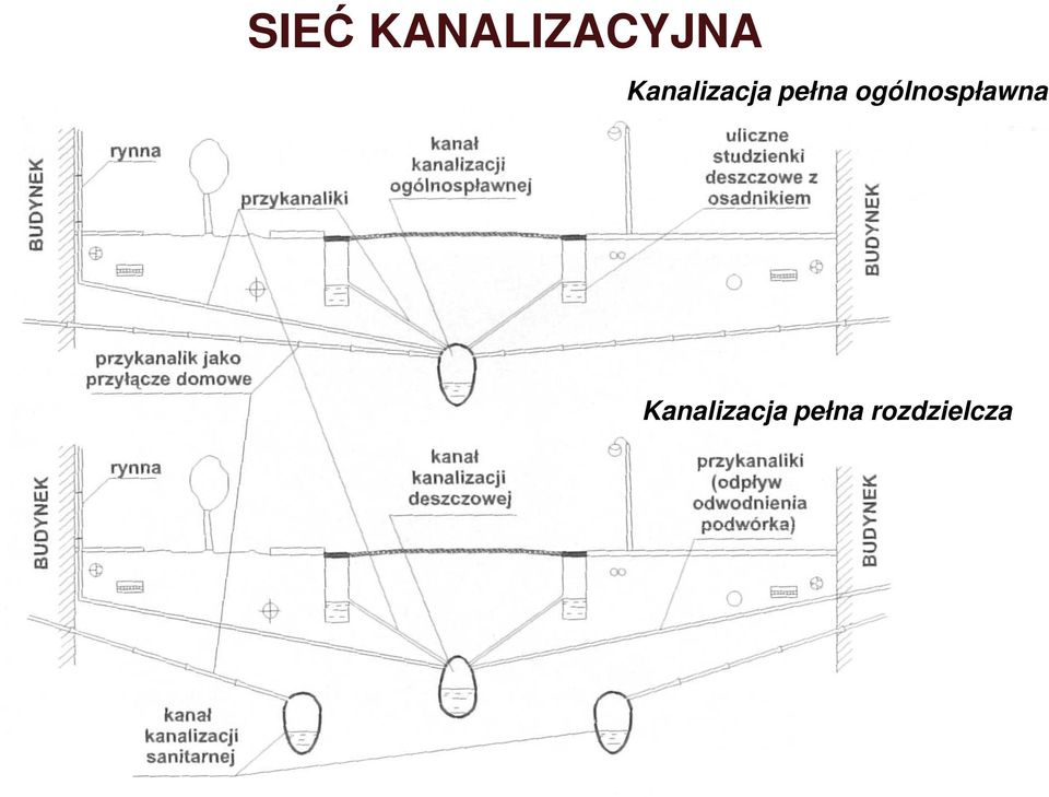 ogólnospławna 