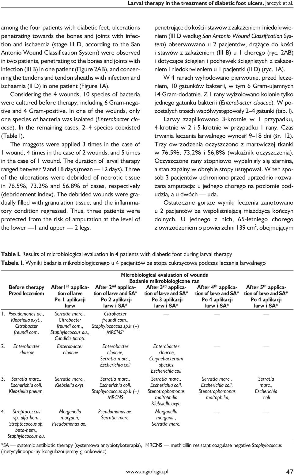 were observed in two patients, penetrating to the bones and joints with infection (III B) in one patient (Figure 2AB), and concerning the tendons and tendon sheaths with infection and ischaemia (II