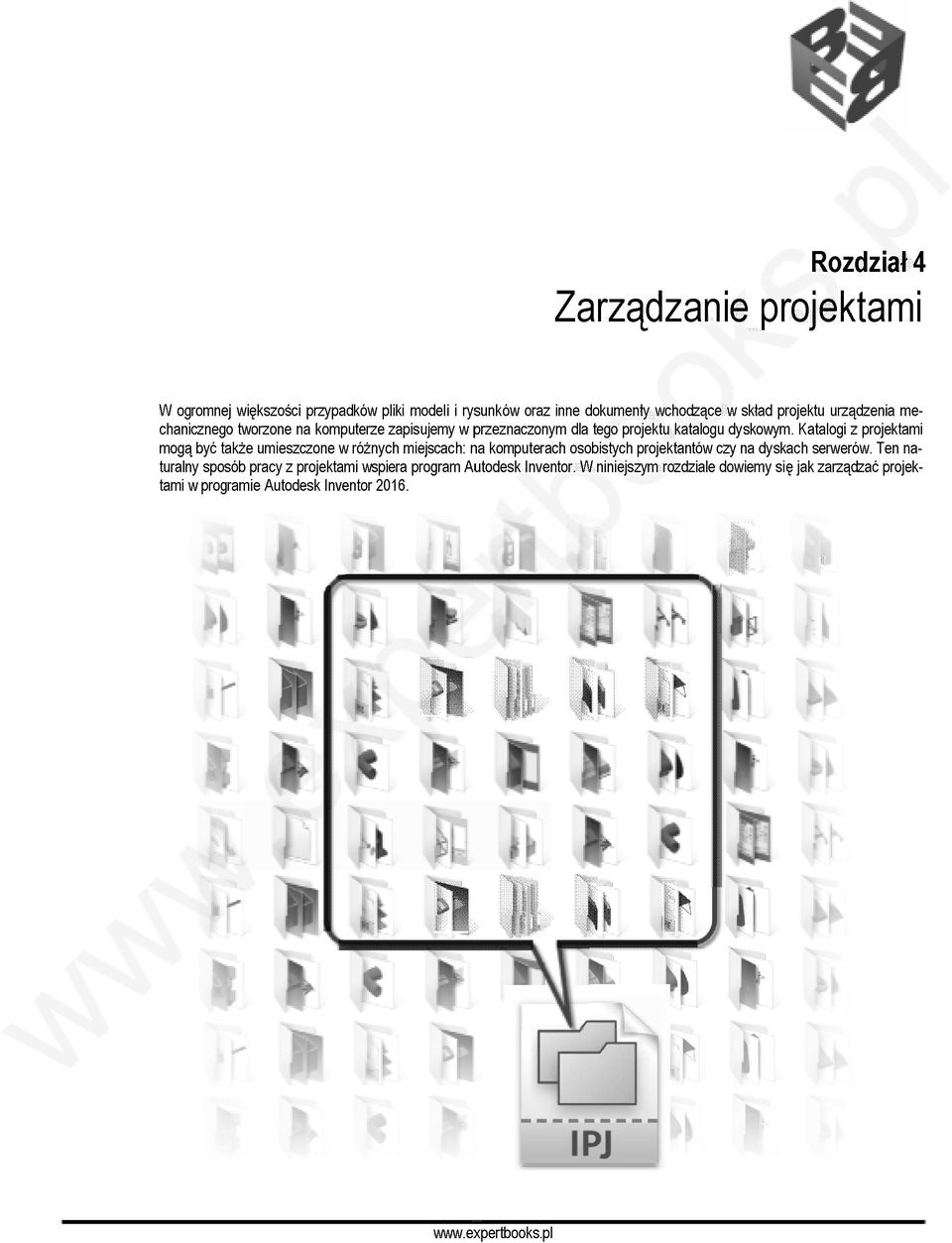 Katalogi z projektami mogą być także umieszczone w różnych miejscach: na komputerach osobistych projektantów czy na dyskach serwerów.