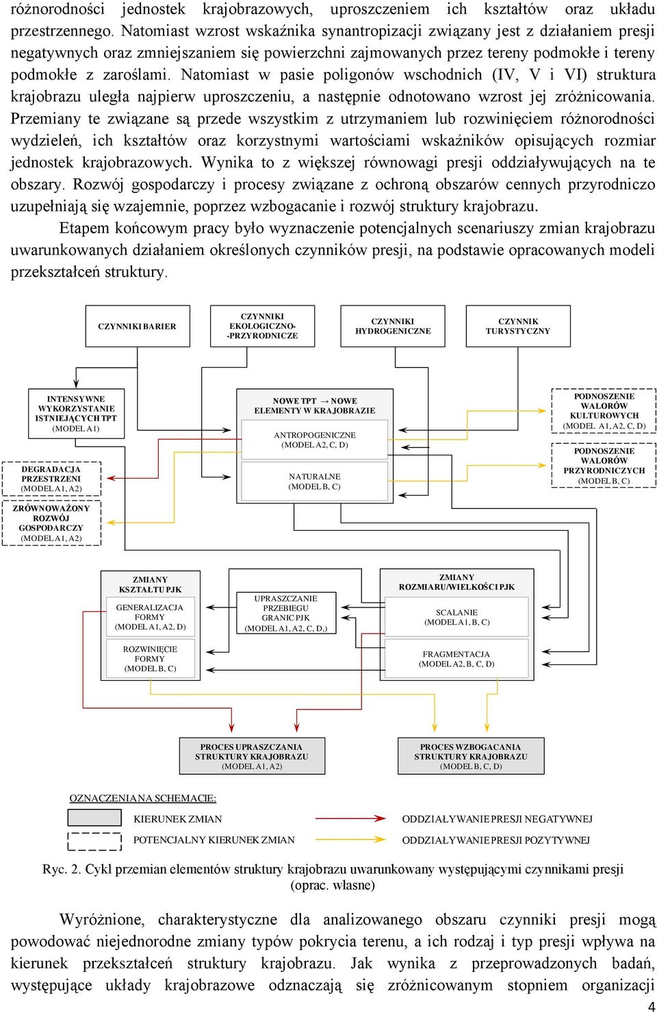 Natomiast w pasie poligonów wschodnich (IV, V i VI) struktura krajobrazu uległa najpierw uproszczeniu, a następnie odnotowano wzrost jej zróżnicowania.