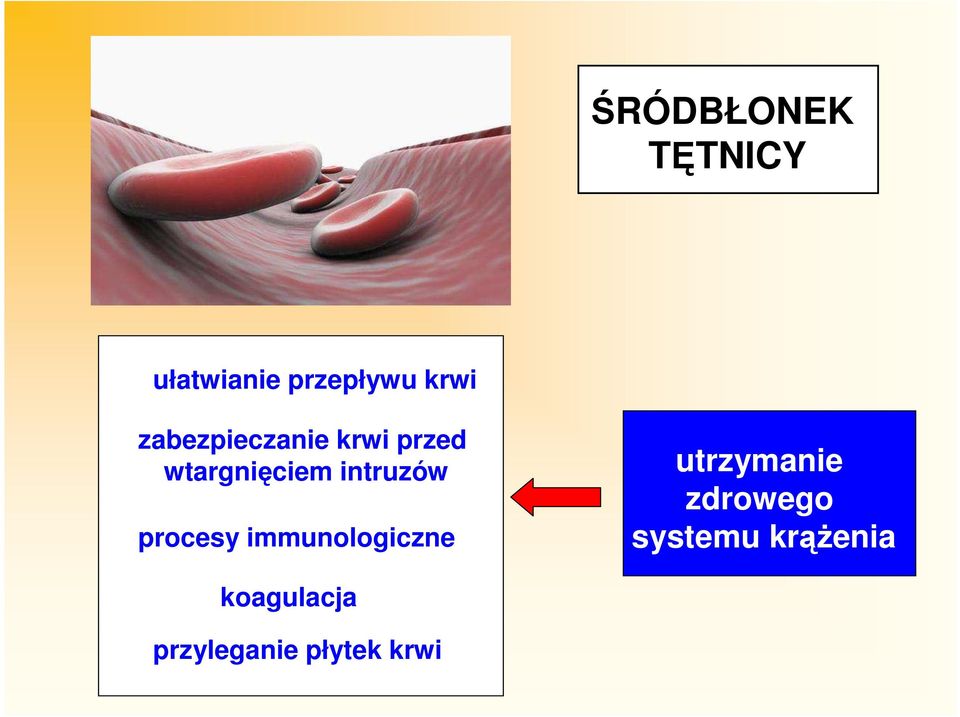 intruzów procesy immunologiczne utrzymanie