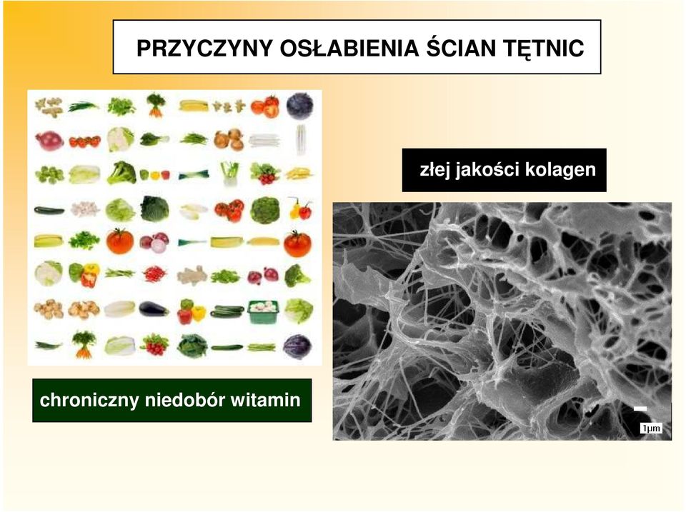 jakości kolagen