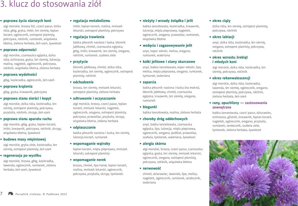 dzika róża, echinacea, gryka, len siemię, lukrecja, malina, nagietek, ogórecznik, pokrzywa, rokitnik, wiązówka błotna, zielona herbata poprawa wydolności głóg, kozieradka, ogórecznik, żeń-szeń