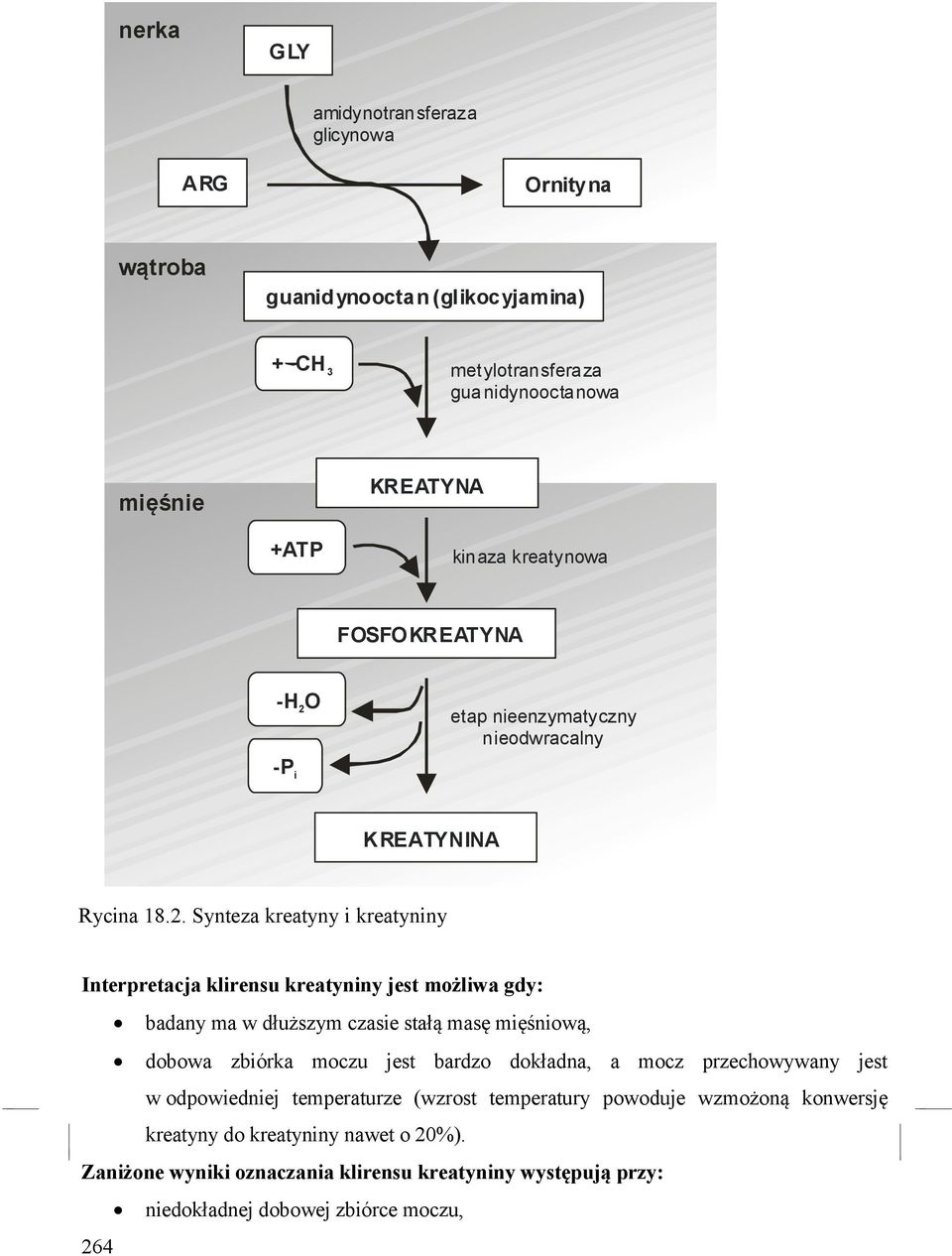 etap nieenzymatyczny nieodwracalny -P i KRETYNIN Rycina 18.2.
