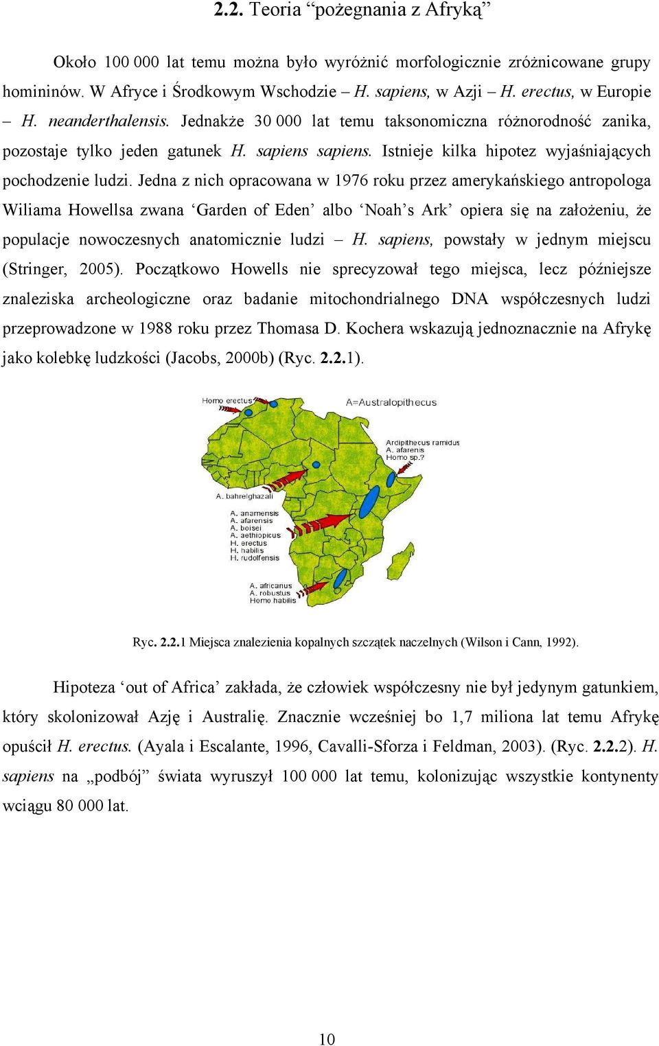 Jedna z nich opracowana w 1976 roku przez amerykańskiego antropologa Wiliama Howellsa zwana Garden of Eden albo Noah s Ark opiera się na założeniu, że populacje nowoczesnych anatomicznie ludzi H.