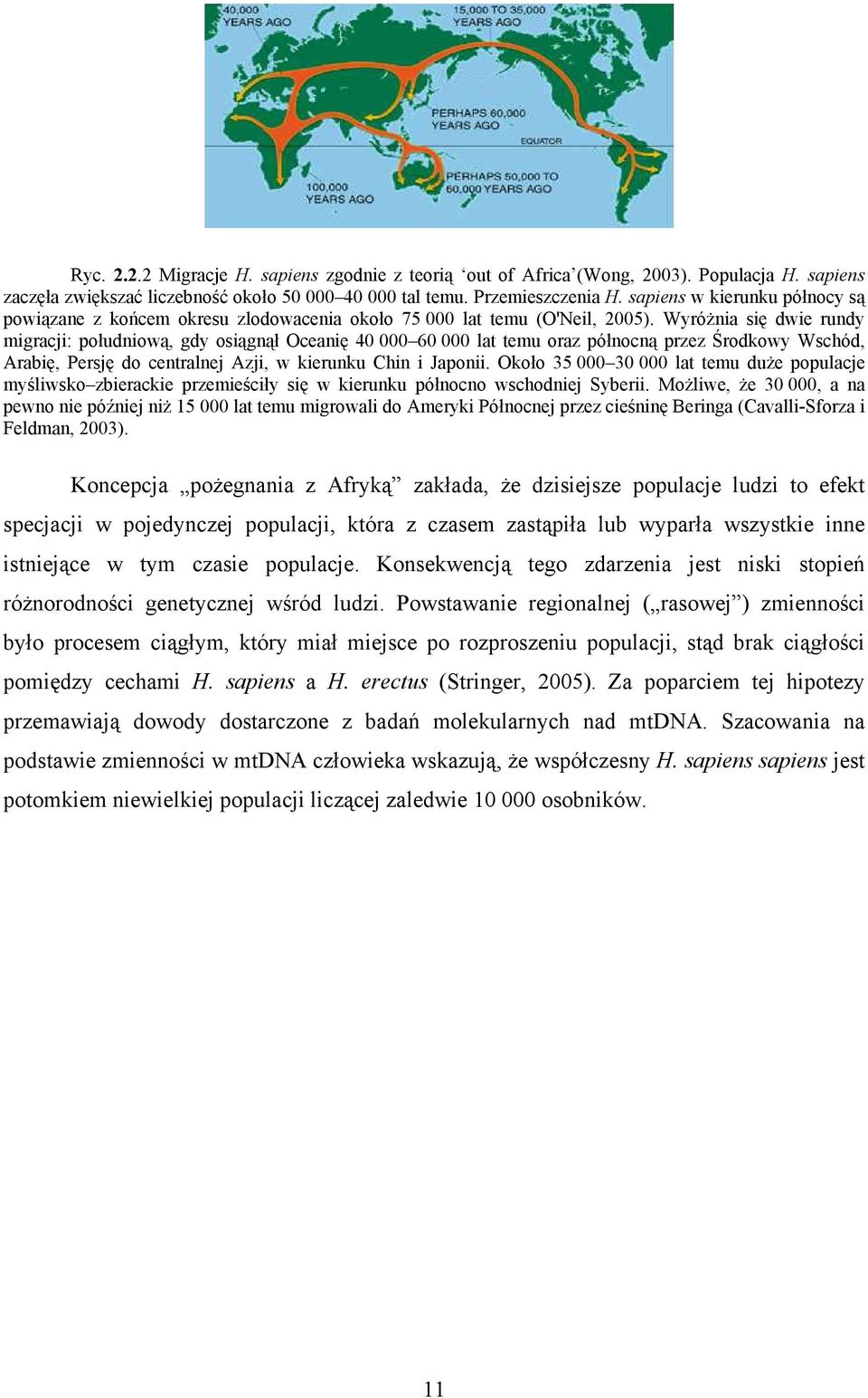 Wyróżnia się dwie rundy migracji: południową, gdy osiągnął Oceanię 40 000 60 000 lat temu oraz północną przez Środkowy Wschód, Arabię, Persję do centralnej Azji, w kierunku Chin i Japonii.