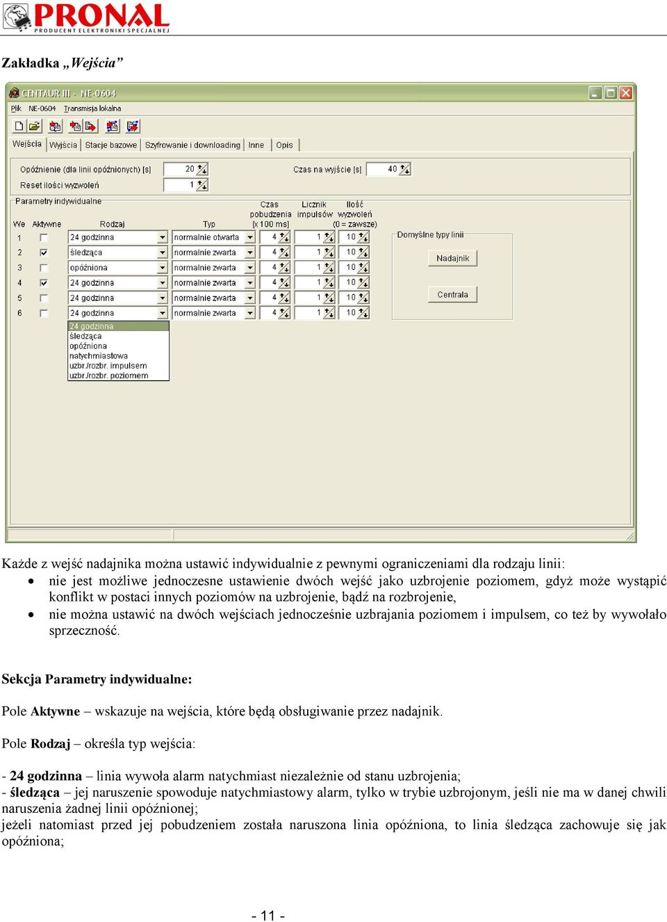 Sekcja Parametry indywidualne: Pole Aktywne wskazuje na wejścia, które będą obsługiwanie przez nadajnik.