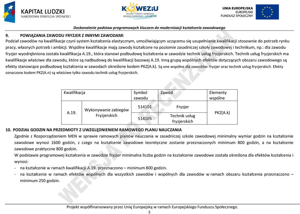 , która stanowi podbudowę kształcenia w zawodzie technik usług fryzjerskich. Technik usług fryzjerskich ma kwalifikacje właściwe dla zawodu, które są nadbudową do kwalifikacji bazowej A.19.