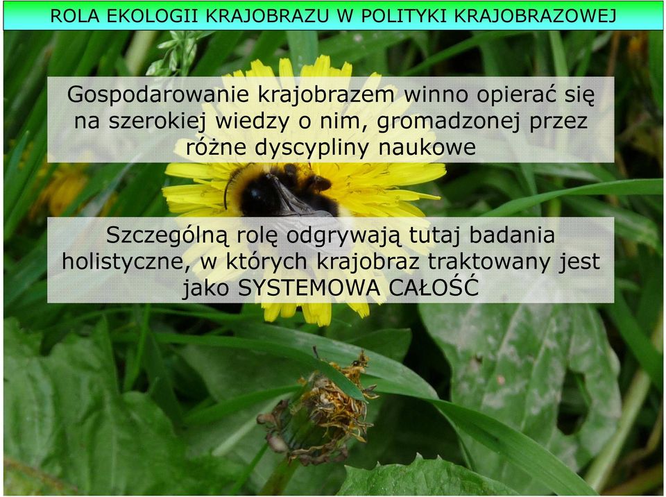 przez różne dyscypliny naukowe Szczególną rolę odgrywają tutaj