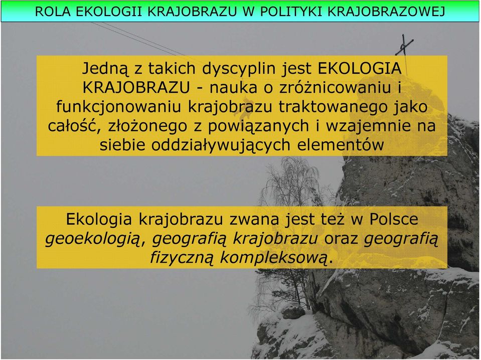 złożonego z powiązanych i wzajemnie na siebie oddziaływujących elementów Ekologia