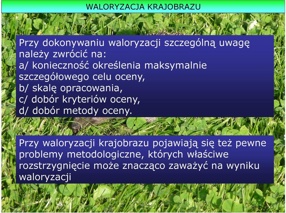 kryteriów oceny, d/ dobór metody oceny.