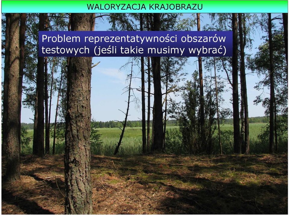 reprezentatywności