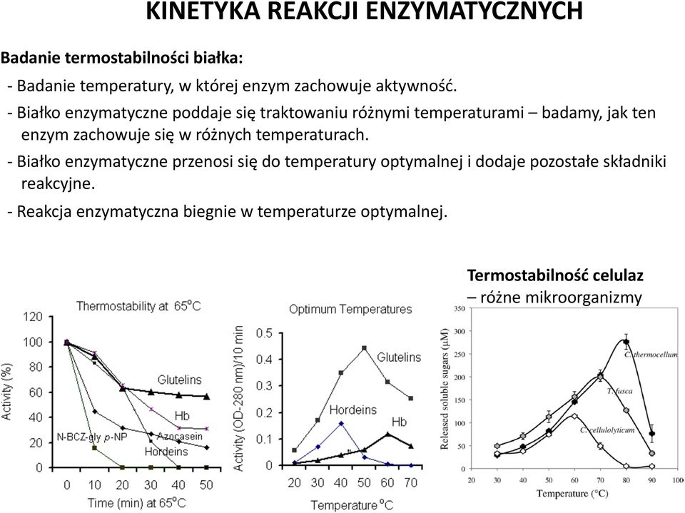 - Białko enzymatyczne poddaje się traktowaniu różnymi temperaturami badamy, jak ten enzym zachowuje się w różnych