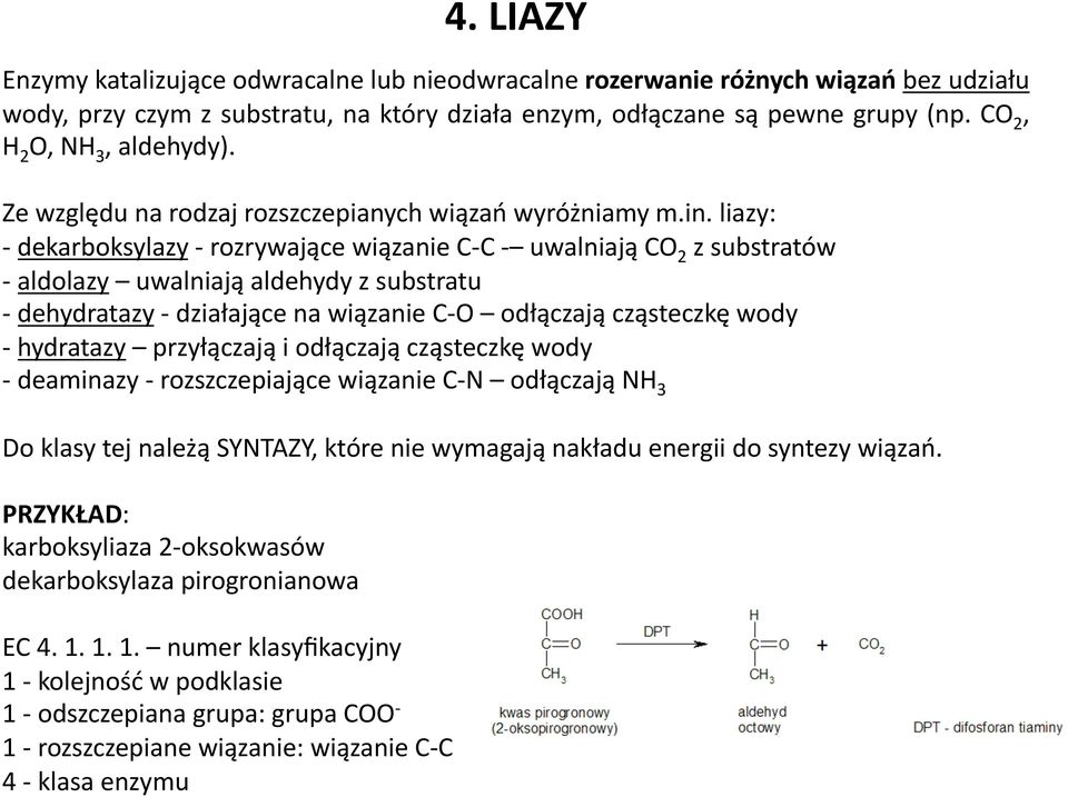 liazy: - dekarboksylazy - rozrywające wiązanie C- C - uwalniają CO 2 z substratów - aldolazy uwalniają aldehydy z substratu - dehydratazy - działające na wiązanie C- O odłączają cząsteczkę wody -