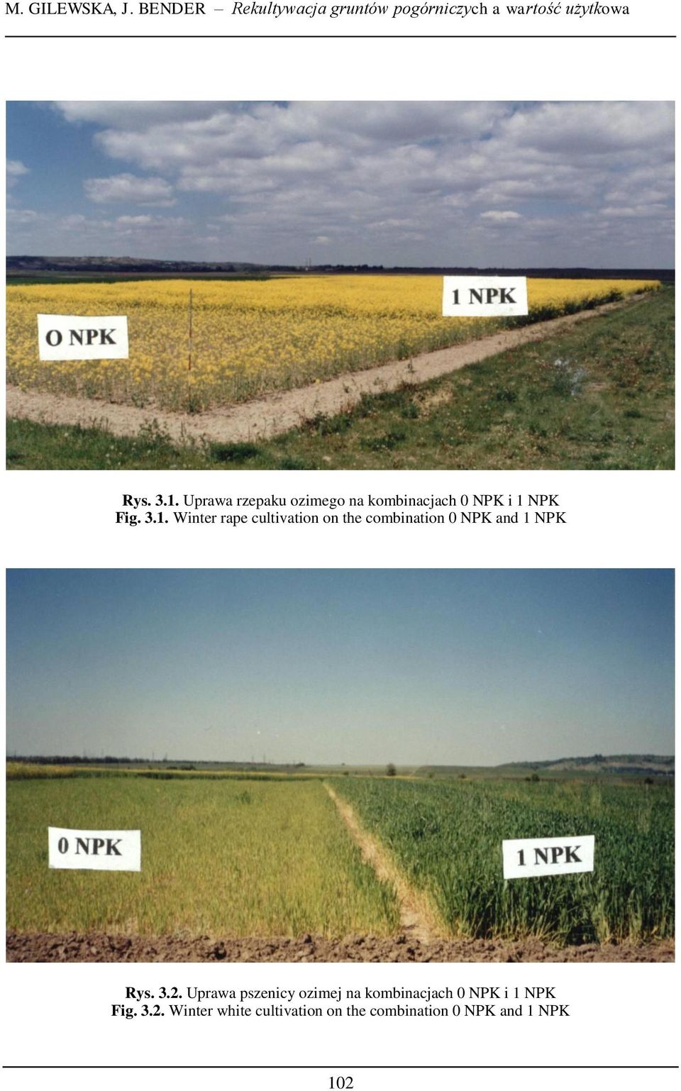 Uprawa rzepaku ozimego na kombinacjach i Fig. 3.1.