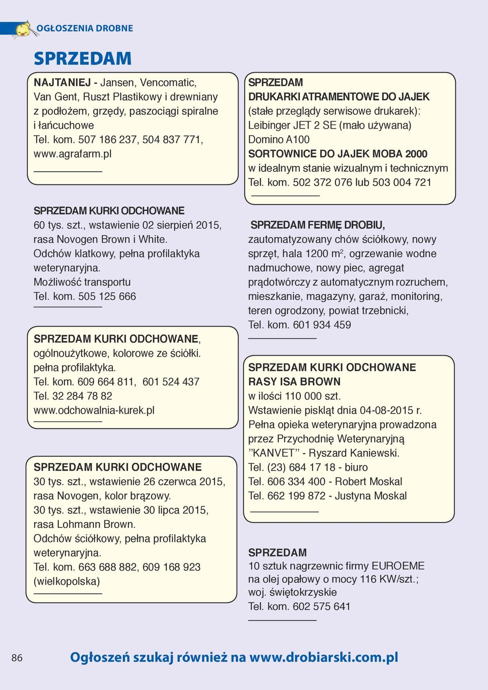 505 125 666 KURKI ODCHOWANE, ogólnoużytkowe, kolorowe ze ściółki. pełna profilaktyka. Tel. kom. 609 664 811, 601 524 437 Tel. 32 284 78 82 www.odchowalnia-kurek.pl KURKI ODCHOWANE 30 tys. szt.