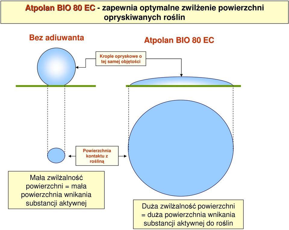 zwilŝalność powierzchni = mała powierzchnia wnikania substancji aktywnej DuŜa