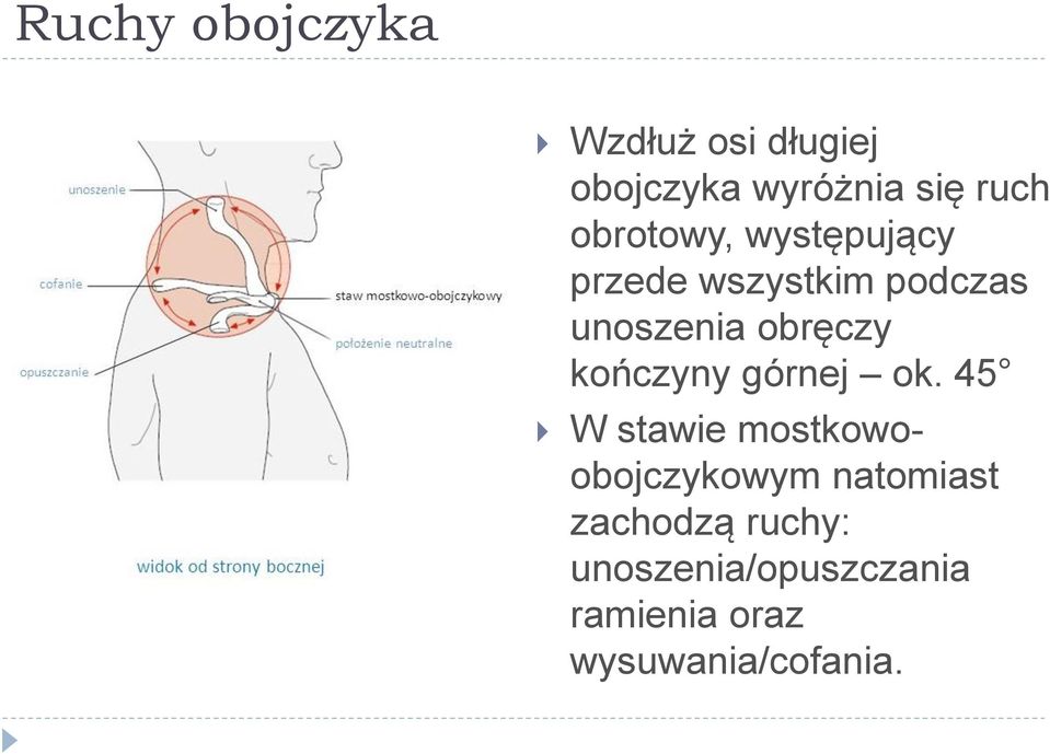 kończyny górnej ok.