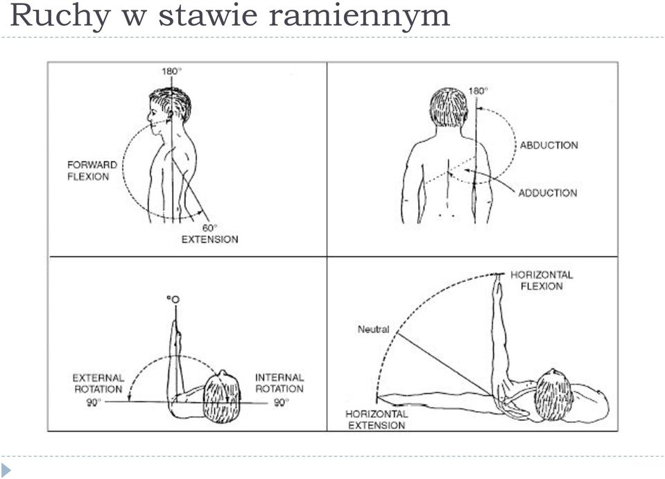 ramiennym