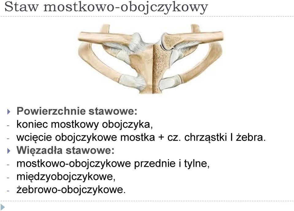 chrząstki I żebra.