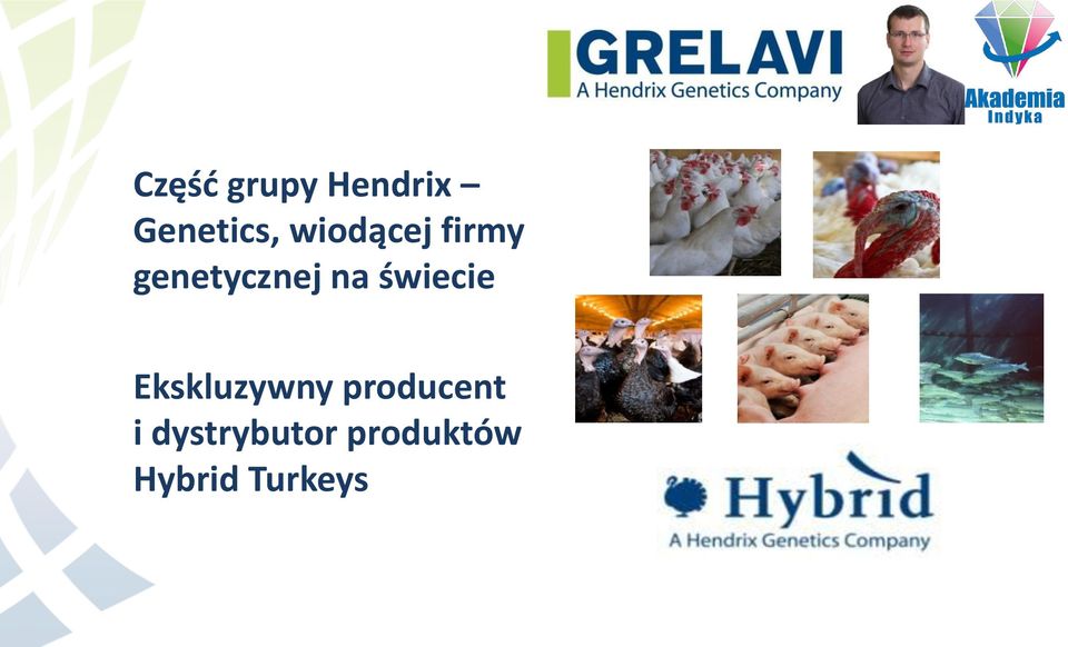 świecie Ekskluzywny producent i