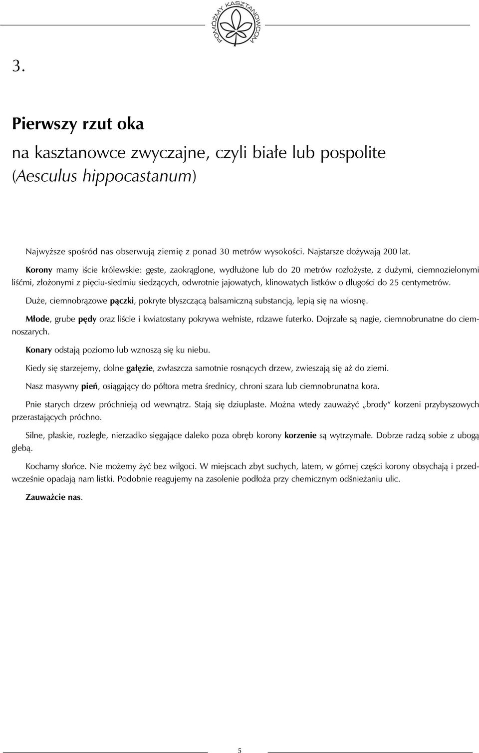 listków o długości do 25 centymetrów. Duże, ciemnobrązowe pączki, pokryte błyszczącą balsamiczną substancją, lepią się na wiosnę.