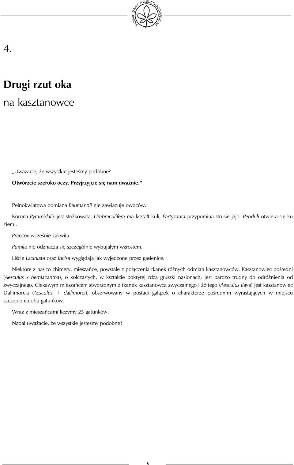 Pumila nie odznacza się szczególnie wybujałym wzrostem. Liście Laciniata oraz Incisa wyglądają jak wyjedzone przez gąsienice.