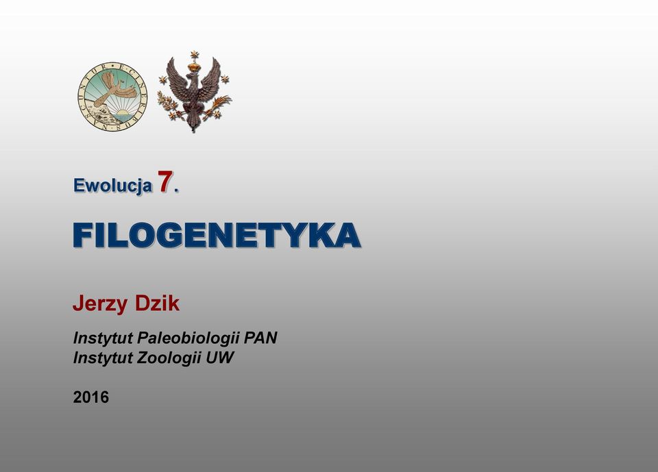 Dzik Instytut