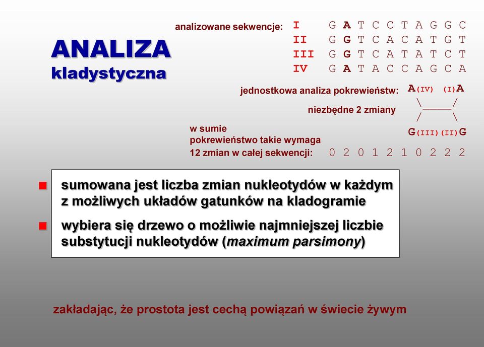 sekwencji: 0 2 0 1 2 1 0 2 2 2 sumowana jest liczba zmian nukleotydów w każdym z możliwych układów gatunków na kladogramie wybiera się