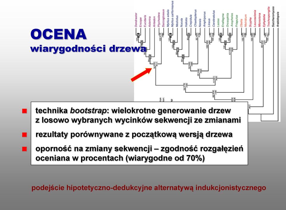 wersją drzewa oporność na zmiany sekwencji zgodność rozgałęzień oceniana w