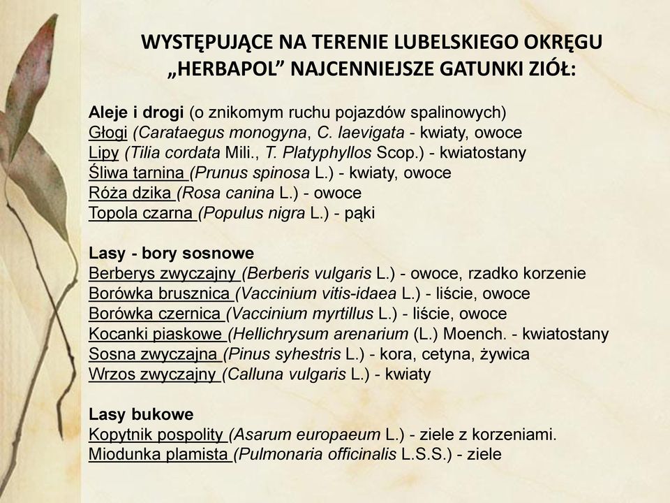 ) - owoce Topola czarna (Populus nigra L.) - pąki Lasy - bory sosnowe Berberys zwyczajny (Berberis vulgaris L.) - owoce, rzadko korzenie Borówka brusznica (Vaccinium vitis-idaea L.