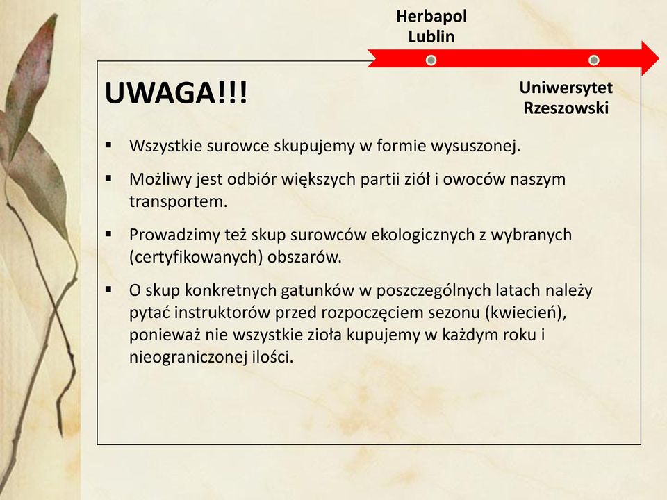 Prowadzimy też skup surowców ekologicznych z wybranych (certyfikowanych) obszarów.