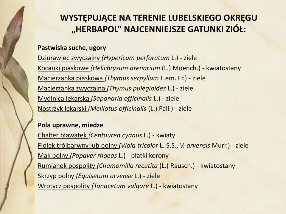 ) - ziele Nostrzyk lekarski (Melilotus officinalis (L.) Pali.) - ziele Pola uprawne, miedze Chaber bławatek (Centaurea cyanus L.) - kwiaty Fiołek trójbarwny lub polny (Viola tricolor L. S.S., V.