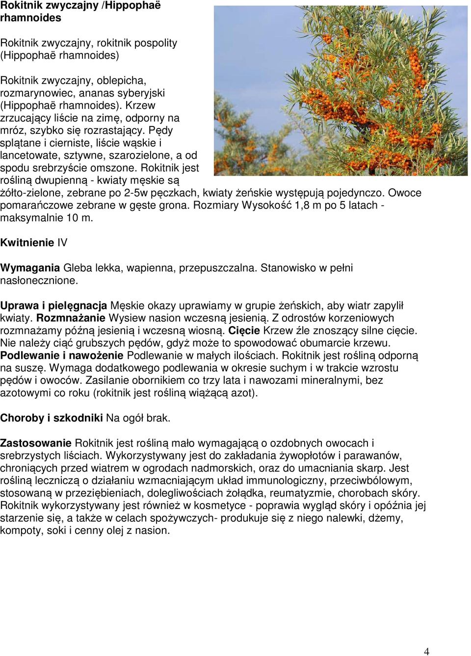 Rokitnik jest rośliną dwupienną - kwiaty męskie są żółto-zielone, zebrane po 2-5w pęczkach, kwiaty żeńskie występują pojedynczo. Owoce pomarańczowe zebrane w gęste grona.
