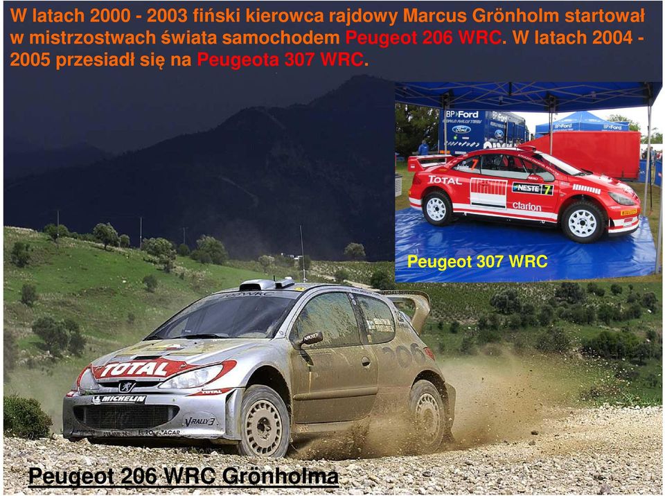 Peugeot 206 WRC.