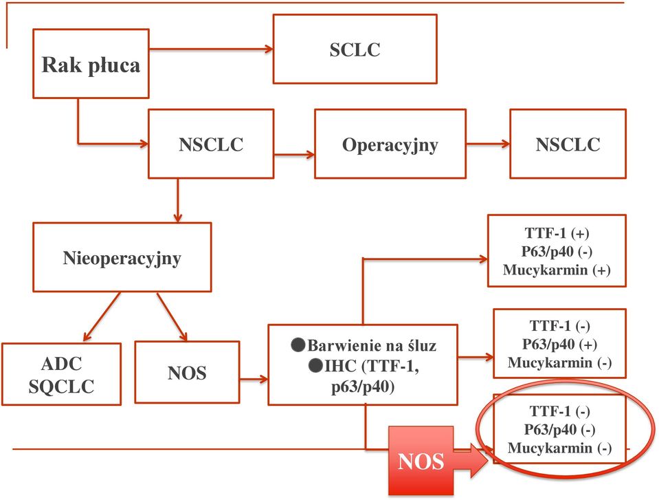 Barwienie na śluz IHC (TTF-1, p63/p40) TTF-1 (-)