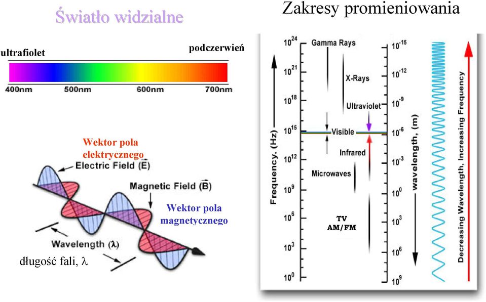 podczerwień Wektor pola