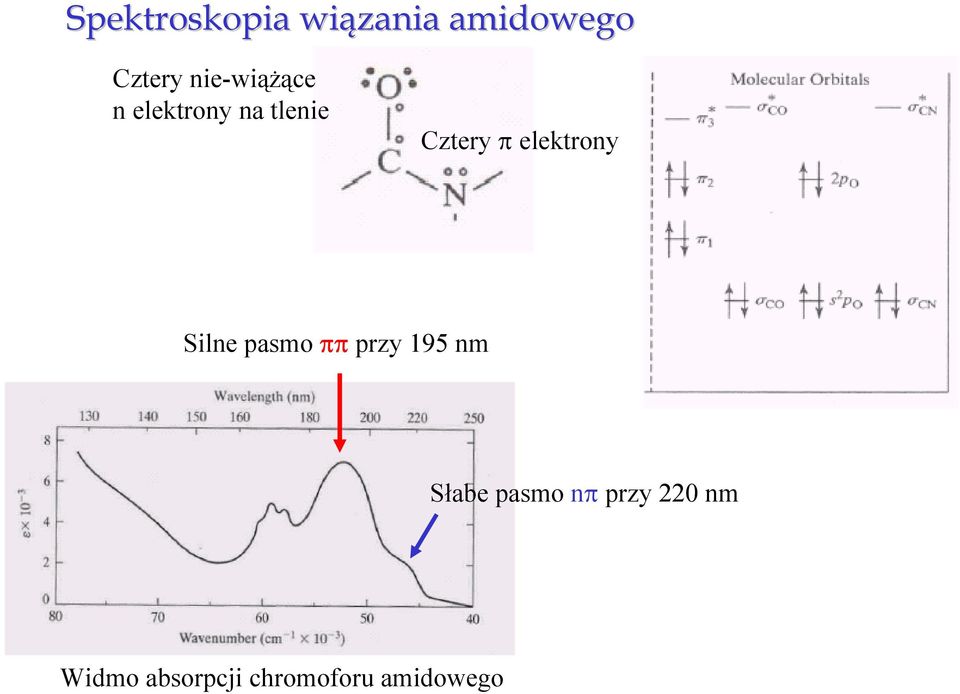 elektrony Silne pasmo ππ przy 195 nm Słabe