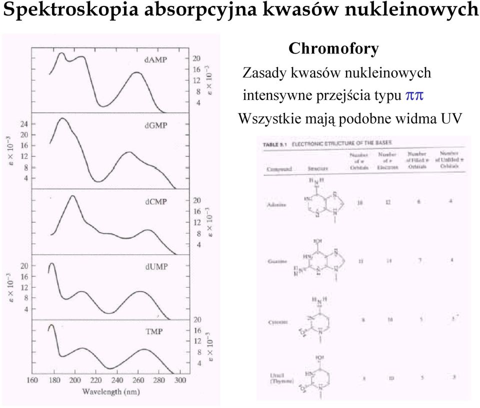 kwasów nukleinowych intensywne