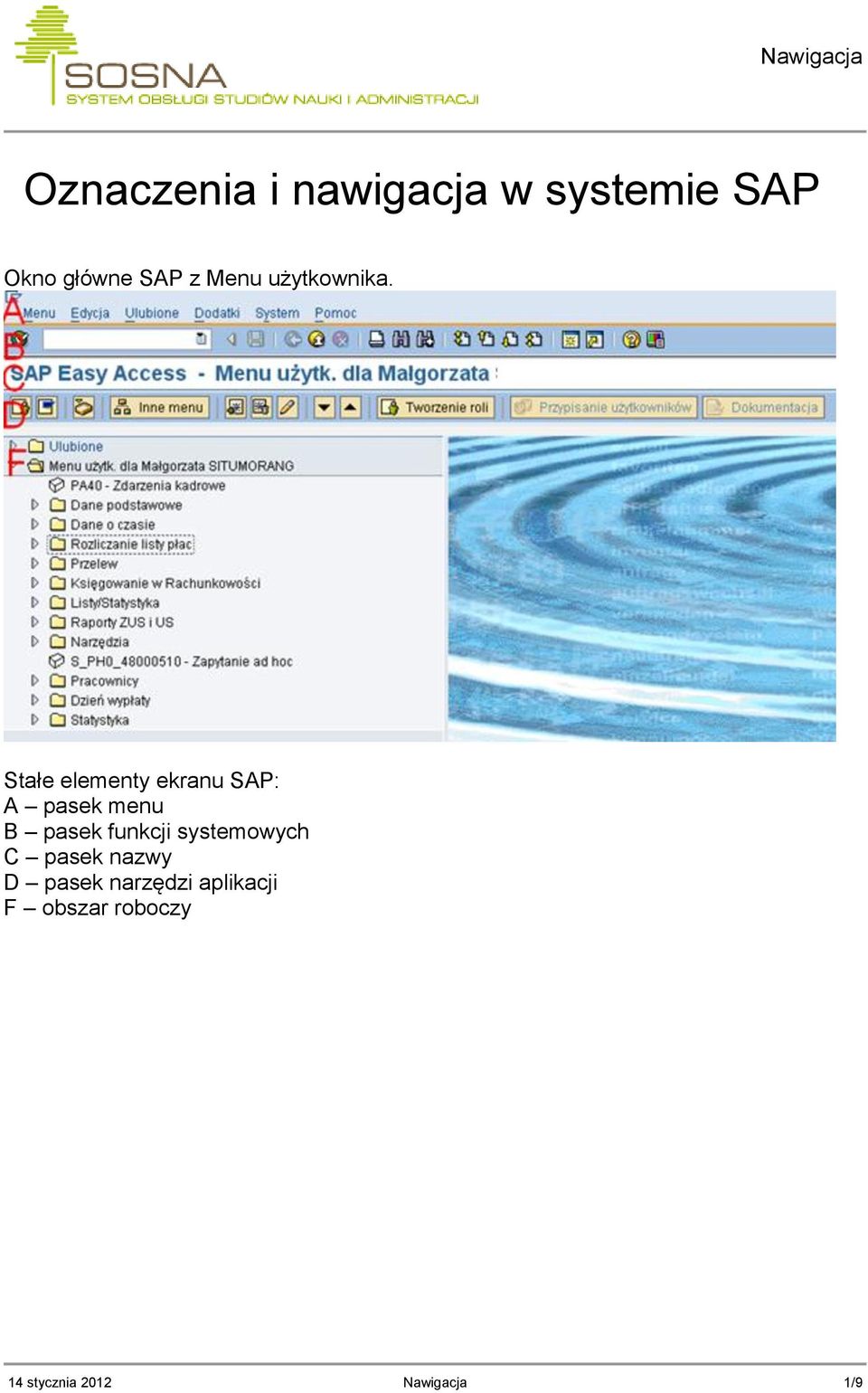 Stałe elementy ekranu SAP: A pasek menu B pasek funkcji